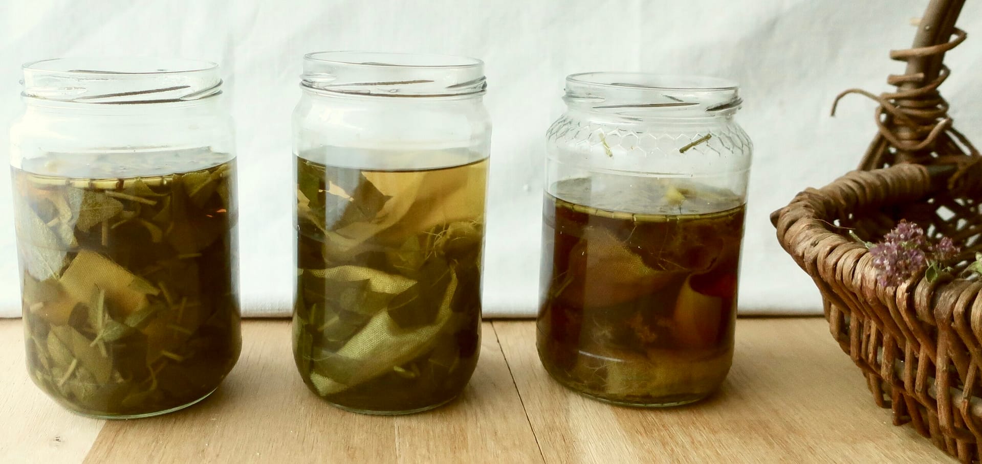 Atelier d'initiation à la teinture végétale à Tours – Image 5