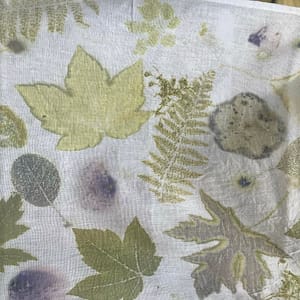 Atelier créatif impressions végétales (écoprint) à Tours