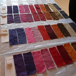 Atelier d’initiation à la teinture végétale à Tours