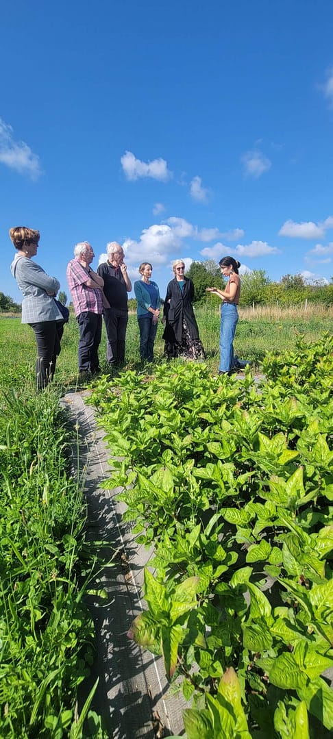Stage/retraite autour du végétal à Blois - été 2026 – Image 7